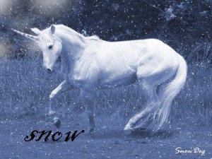 snow_unicorn.jpg